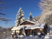 �ʐ^:���c�Ώ���